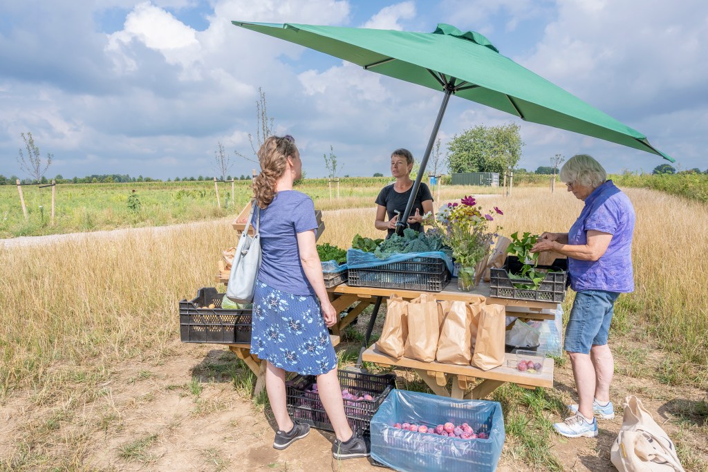 Het voedselbos in beeld – Voedselbos Lingehout